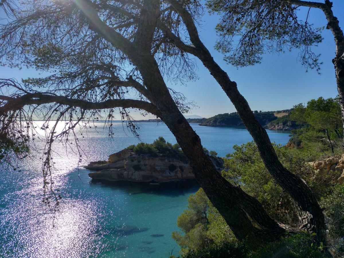 Estupendo Piso En L'Ampolla Daire Dış mekan fotoğraf